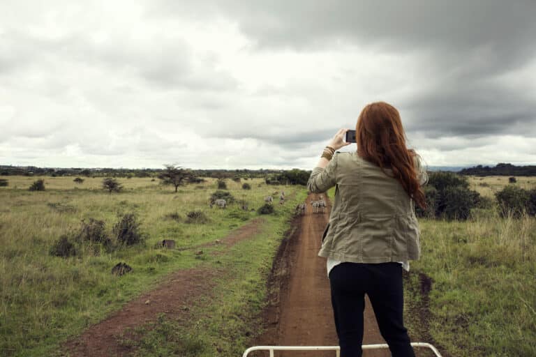 Woman taking photograph of zebras from top of vehicle in wildlife park, Nairobi, Kenya